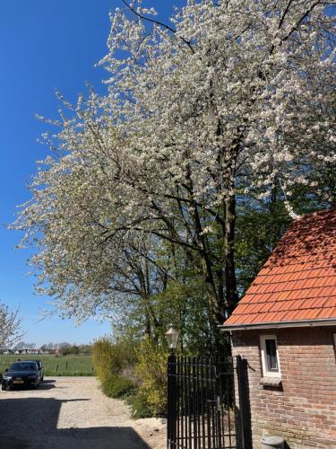 Driel Bed & Breakfast | B&B Driel