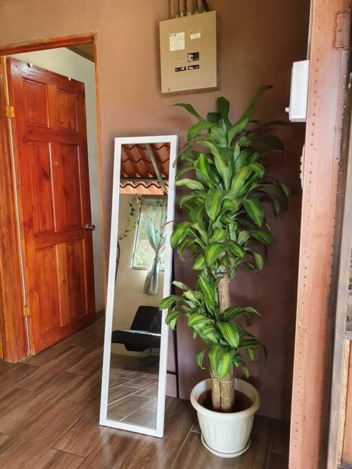 Ciudad Cortes House | CASA PALMERAS - peaceful mountain view