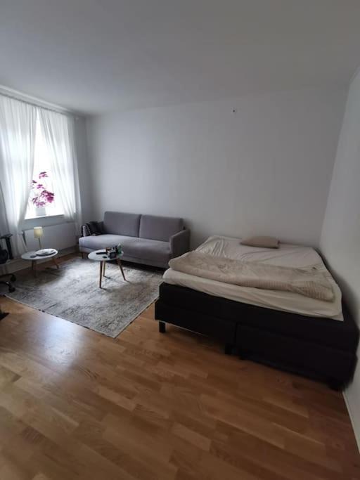 Mollevangen Apartment | Studio