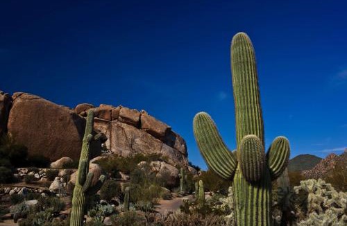 The Boulders Resort | Boulders Resort & Spa Scottsdale, Curio Collection by Hilton