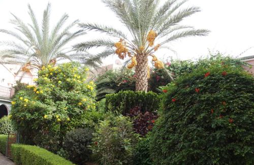 Taroudannt Villa | Riad Dar Hajra