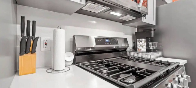 2 BD 2 BA Bucktown Safari Flat in Chicago