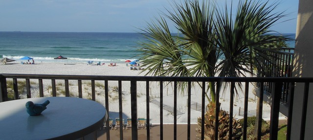Amazing Gulf Front View