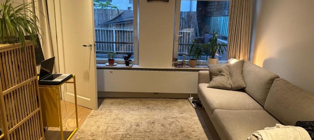 Apartment in Oude-Pijp