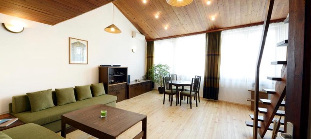 Artistic penthouse in Sofia