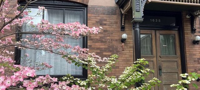 Beautiful, cozy, stylish Bucktown, Wicker Park House, perfect Chicago location.