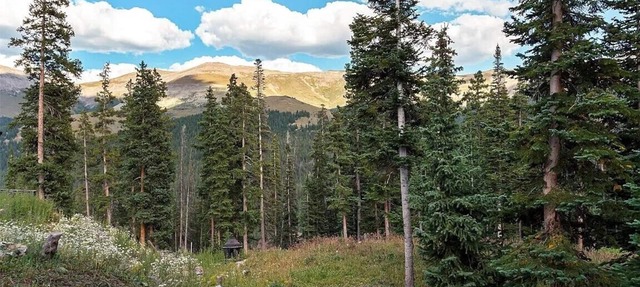 Beautiful home in Blue River steps away from Quandry Peak and Breckenridge