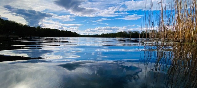 Cute Bungalow on the lake, - to relax and unwind - idyllic location