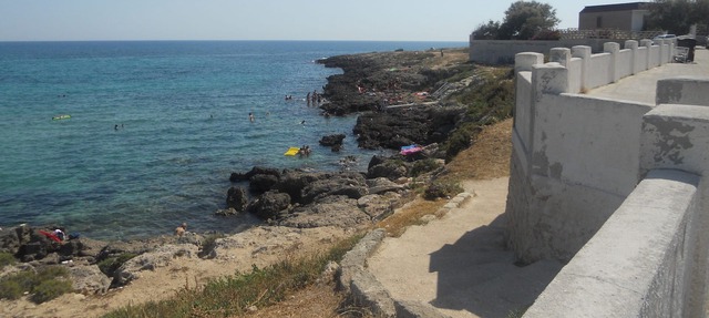 Ideal for families, groups of friends, animal lovers, the sea anden the gre