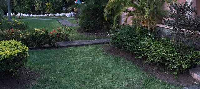 Just Across From Reduit Beach