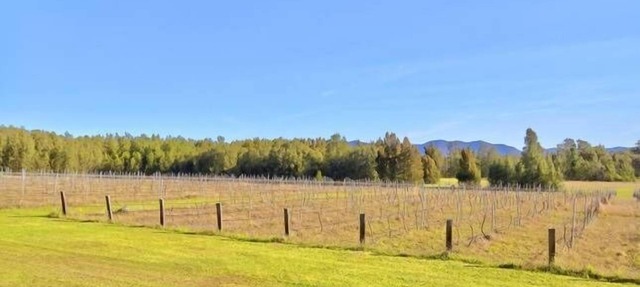 La Vigna Function and Wedding Accommodation the whole vineyard sleeps up to 40 in Pokolbin
