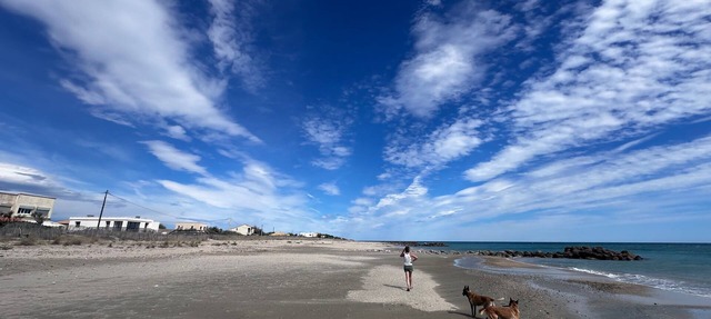 Maison Front de Mer Aresquiers | Direct beach access | 4 bedrooms