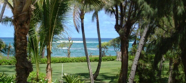 OCEANFRONT to Walking Path & Beach TVNC #1287 in Kapaa