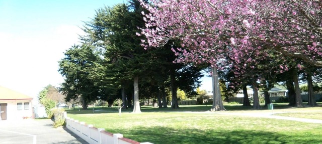 Pet-Friendly Napier Nest Motel w/Kitchenette