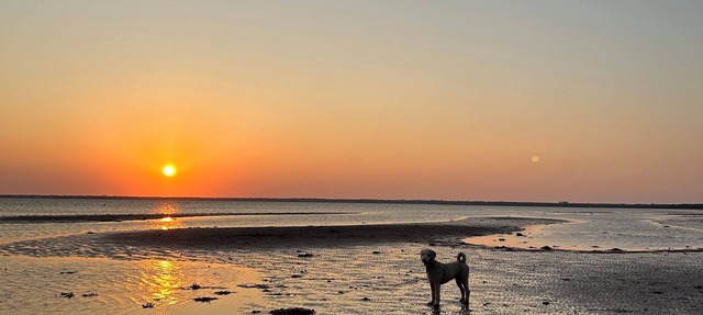 Private little waterfront cottage on PEI’s South Shore in Miscouche