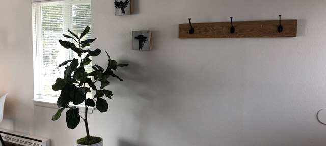 Private, Stand-Alone Apartment, 2 blocks from Greenlake in Seattle