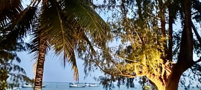 Pulojava Resort in Karimunjawa