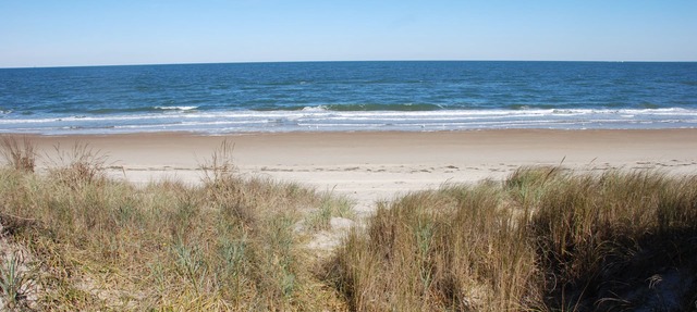 Rustic Beach Front Apartment - Cozy, Rustic and On the Beach! - 2 BR/1 Bath in Norfolk