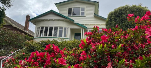 Spacious comfortable character House -Maori Hill in Dunedin