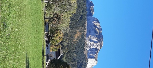 Studio between lake and mountains in Dingy st clair