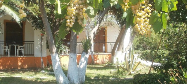 Studios Dimitris in Punta