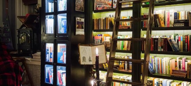 Tranquil Library 2brm 1bath private eclectic apt at Solar Lodge in Chicago