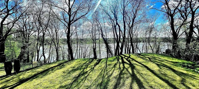 Vacation apartment in the house by the lake & forest