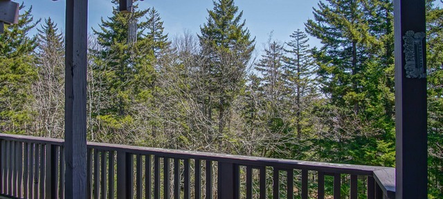 Whistlepunk #11: 2 Bedroom, 2 Bath: Wood fireplace.Central Location.