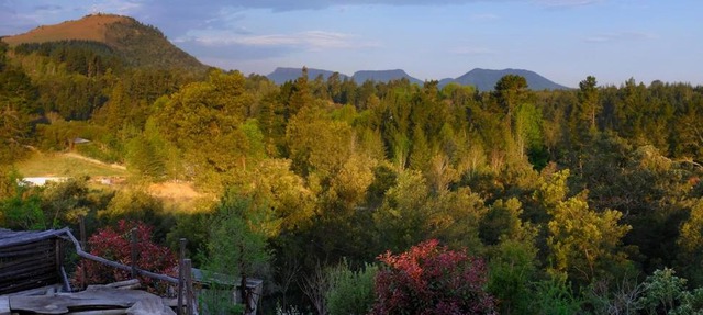 Wild Fox Hill in Hogsback